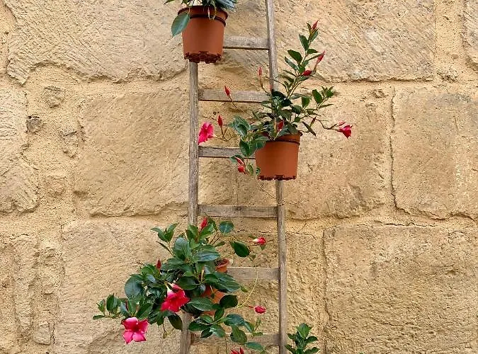 Bianko Ecochic Couette-café